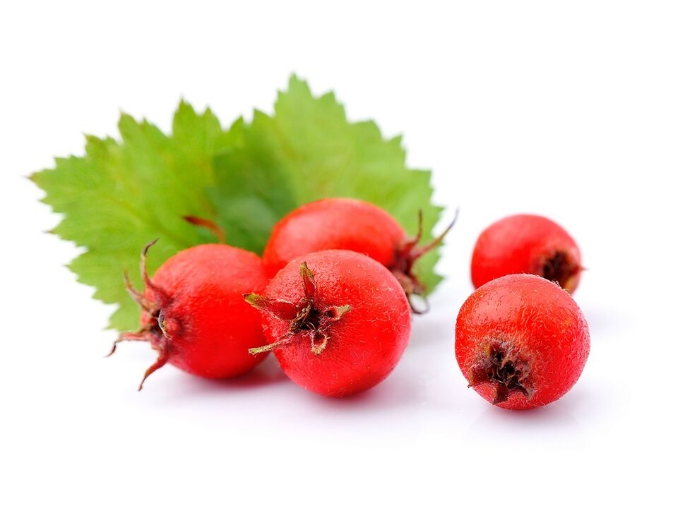 Hawthorn extract